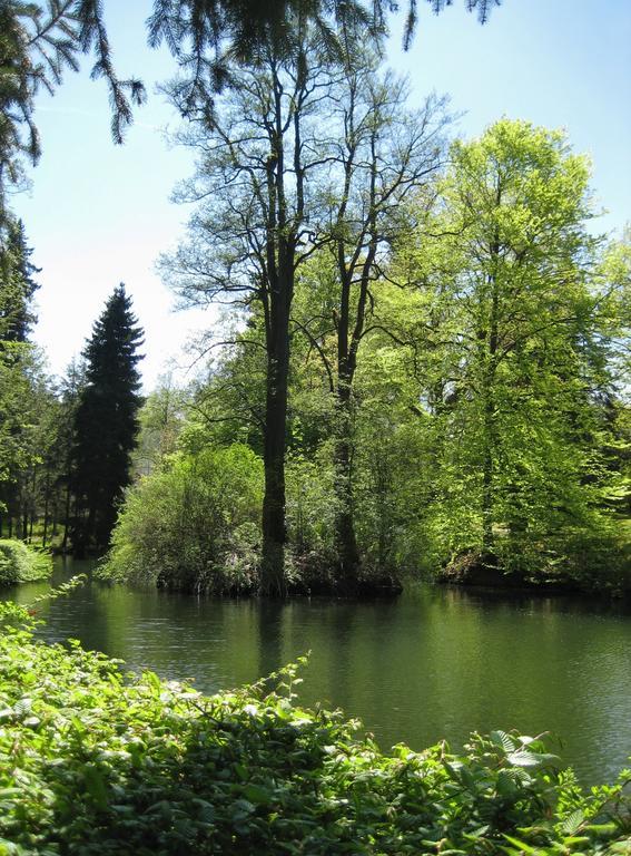 Augustenhof Bad Elster Exteriér fotografie